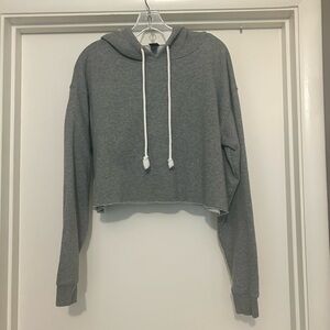 Wild Fable Charcoal Cropped Hoodie